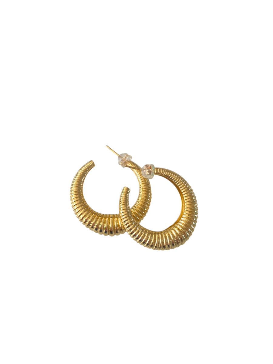 Aretes Polly Hoop